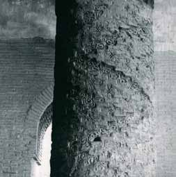 Иллюстрация к книге — Хорасан. Территория искусства [i_161.jpg]