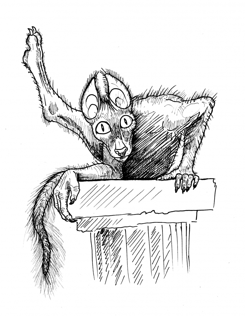 Иллюстрация к книге — Магистерий. Черный Петер [i_003.jpg]