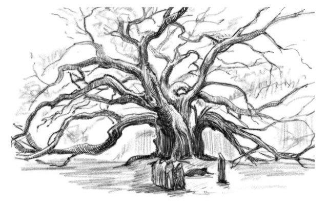 Иллюстрация к книге — Чудовы луга [i_001.jpg]