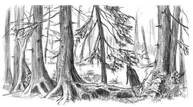 Иллюстрация к книге — Чудовы луга [i_018.jpg]