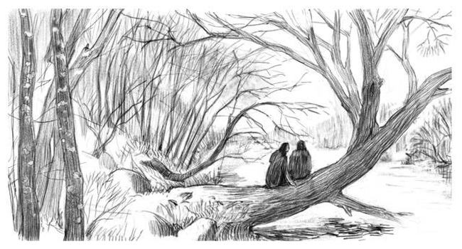 Иллюстрация к книге — Чудовы луга [i_021.jpg]