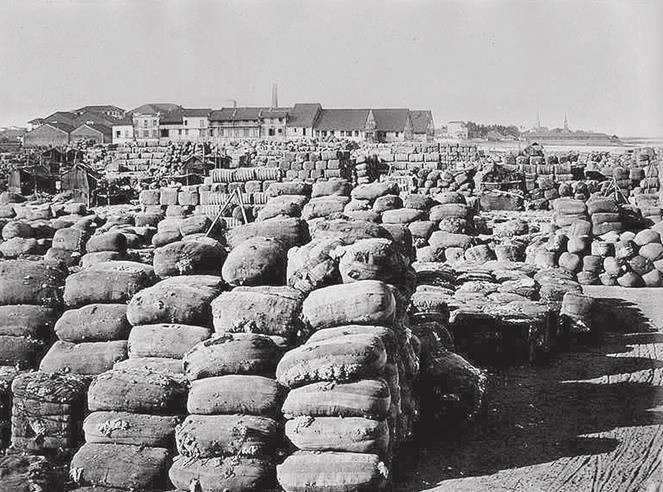 Иллюстрация к книге — Индийский хлопок и британский интерес. Овеществленная политика в колониальную эпоху [i_057.jpg]