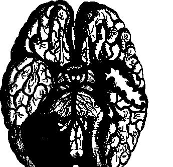 Иллюстрация к книге — По голове себе постучи. Вся правда о мигрени и другой головной боли [i_002.jpg]