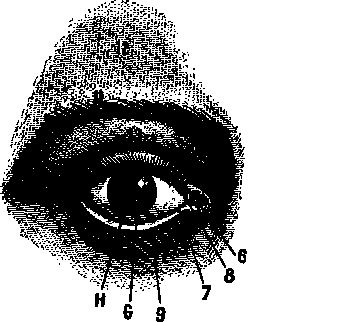 Иллюстрация к книге — По голове себе постучи. Вся правда о мигрени и другой головной боли [i_009.jpg]