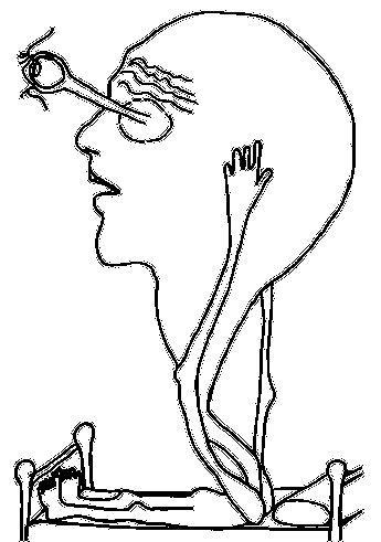 Иллюстрация к книге — По голове себе постучи. Вся правда о мигрени и другой головной боли [i_047.jpg]