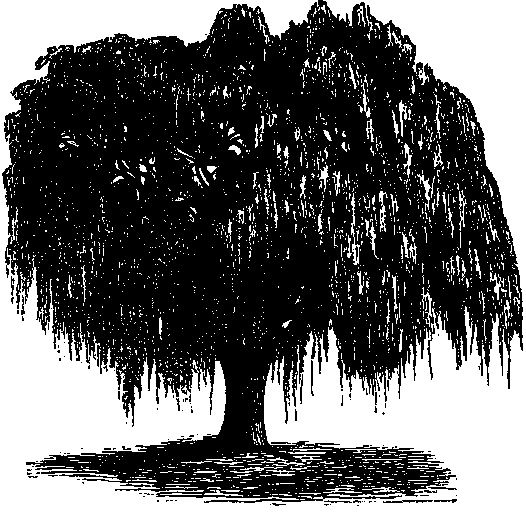 Иллюстрация к книге — По голове себе постучи. Вся правда о мигрени и другой головной боли [i_052.jpg]