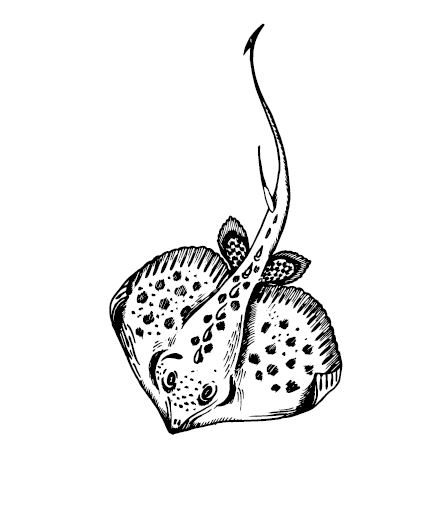 Иллюстрация к книге — По голове себе постучи. Вся правда о мигрени и другой головной боли [i_065.jpg]