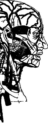 Иллюстрация к книге — По голове себе постучи. Вся правда о мигрени и другой головной боли [i_079.jpg]