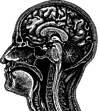 Иллюстрация к книге — По голове себе постучи. Вся правда о мигрени и другой головной боли [i_104.jpg]