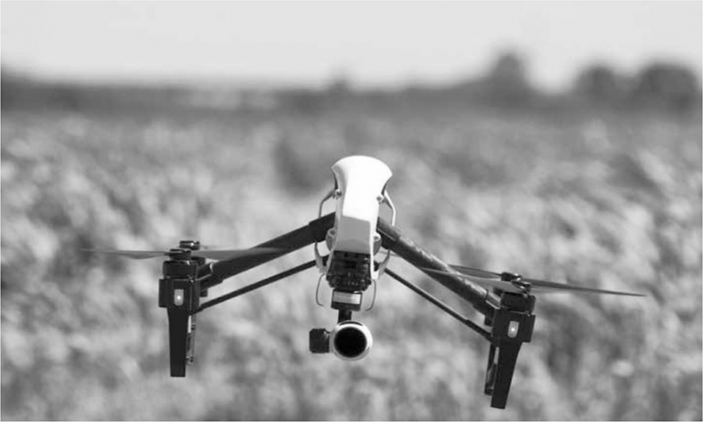 Иллюстрация к книге — 101 факт об искусственном интеллекте. Как подготовиться к жизни в новой реальности [i_014.jpg]