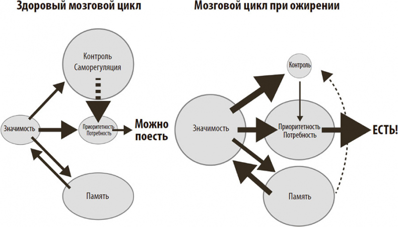 Иллюстрация к книге — Нейрогастрономия. Почему мозг создает вкус еды и как этим управлять [i_066.jpg]