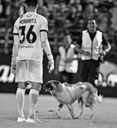 Иллюстрация к книге — Азбука футбола. Увлеки своего ребёнка самой популярной игрой! [i_022.jpg]