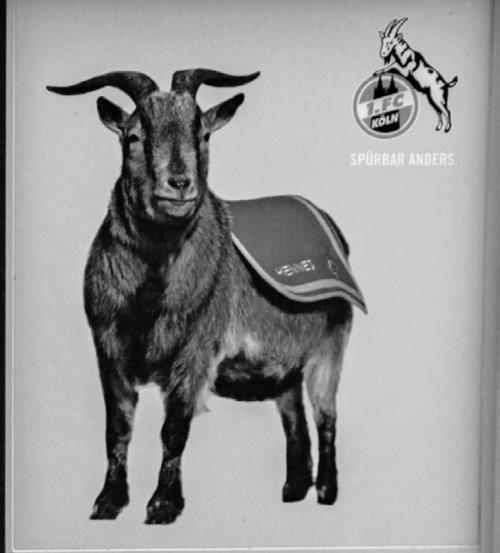 Иллюстрация к книге — Азбука футбола. Увлеки своего ребёнка самой популярной игрой! [i_051.jpg]