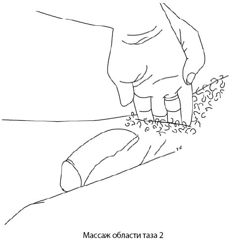 Иллюстрация к книге — Он снова кончает. Устрой мужчине лучший секс, которого у него никогда не было [i_009.jpg]