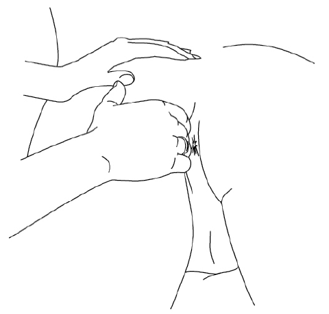 Иллюстрация к книге — Он снова кончает. Устрой мужчине лучший секс, которого у него никогда не было [i_011.jpg]