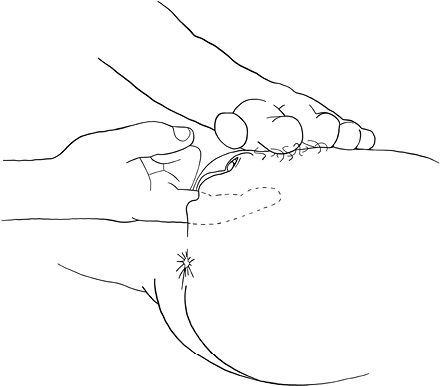 Иллюстрация к книге — Она кончает первой. Как доставить женщине наслаждение [i_007.jpg]