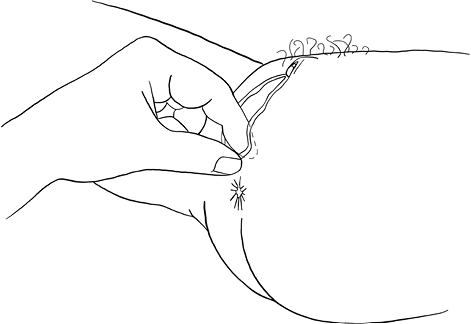 Иллюстрация к книге — Она кончает первой. Как доставить женщине наслаждение [i_008.jpg]