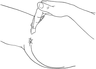 Иллюстрация к книге — Она кончает первой. Как доставить женщине наслаждение [i_017.jpg]