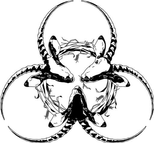 Иллюстрация к книге — Апофения [i_012.jpg]