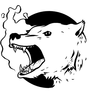 Иллюстрация к книге — Кривотопь. Перевёртыш [i_011.jpg]