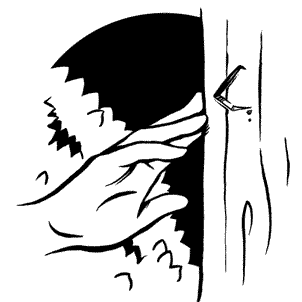 Иллюстрация к книге — Кривотопь. Перевёртыш [i_012.jpg]