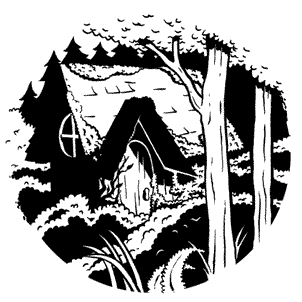 Иллюстрация к книге — Кривотопь. Перевёртыш [i_016.jpg]