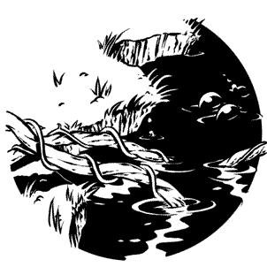 Иллюстрация к книге — Кривотопь. Перевёртыш [i_021.jpg]