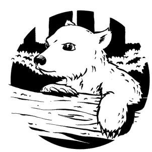 Иллюстрация к книге — Кривотопь. Перевёртыш [i_024.jpg]