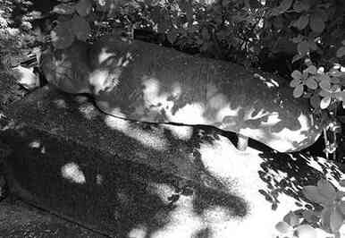 Иллюстрация к книге — Музеи смерти. Парижские и московские кладбища [i_145.jpg]