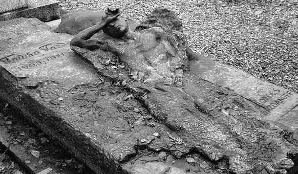 Иллюстрация к книге — Музеи смерти. Парижские и московские кладбища [i_229.jpg]