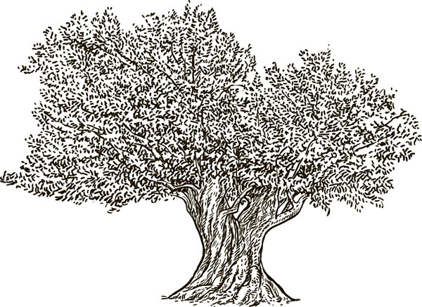 Иллюстрация к книге — Тайные знаки природы. Как стать погодным детективом и читать приметы [i_002.jpg]