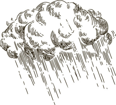 Иллюстрация к книге — Тайные знаки природы. Как стать погодным детективом и читать приметы [i_004.jpg]