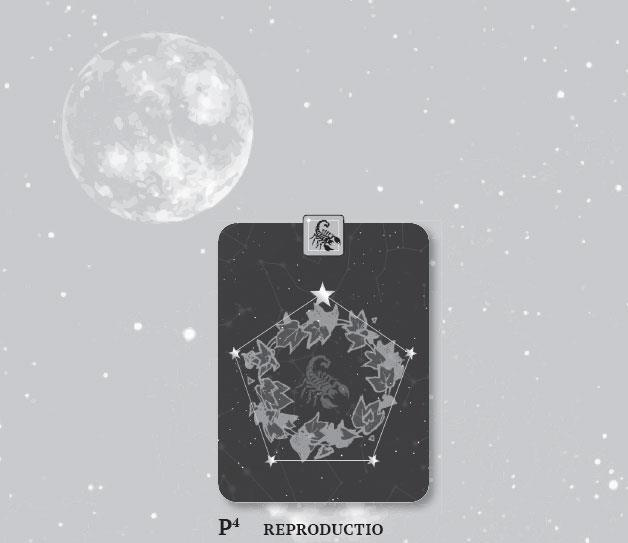 Иллюстрация к книге — Karmamagic [i_013.jpg]