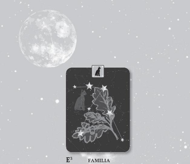 Иллюстрация к книге — Karmamagic [i_067.jpg]