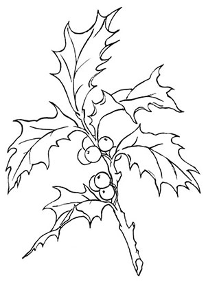 Иллюстрация к книге — Комната бабочек [i_009.jpg]