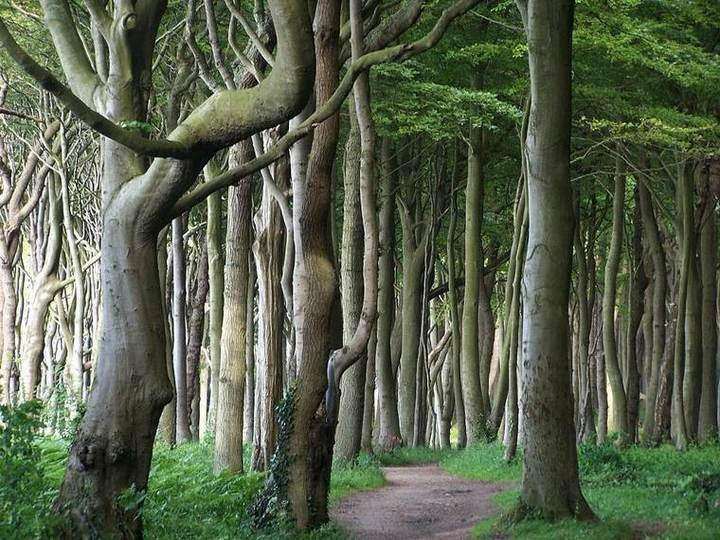 Иллюстрация к книге — Хороший день для зомби-апокалипсиса [i_055.jpg]