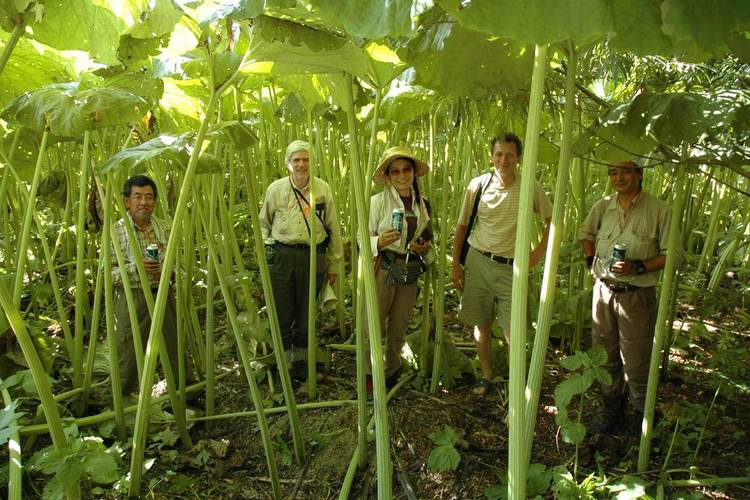 Иллюстрация к книге — Хороший день для зомби-апокалипсиса [i_058.jpg]