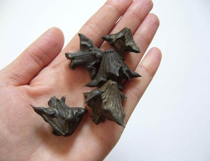 Иллюстрация к книге — Хороший день для зомби-апокалипсиса [i_071.jpg]