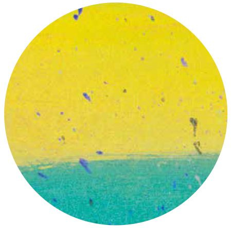 Иллюстрация к книге — Осознанное счастье. Путь к гармонии с собой и миром [i_003.jpg]