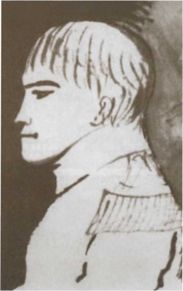 Иллюстрация к книге — Декабристы [i_017.jpg]