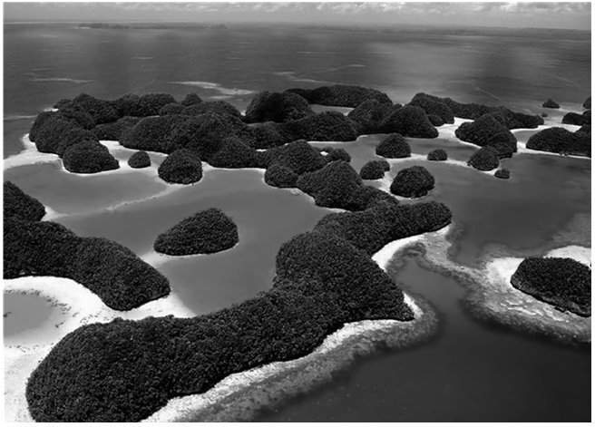 Иллюстрация к книге — Мой генерал Торрихос [i_030.jpg]