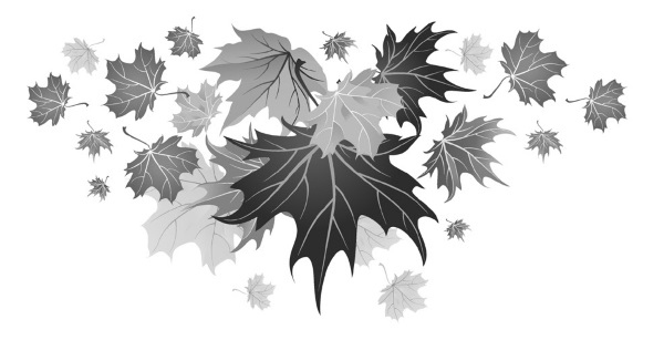 Иллюстрация к книге — Детектив для уютной осени [i_003.jpg]