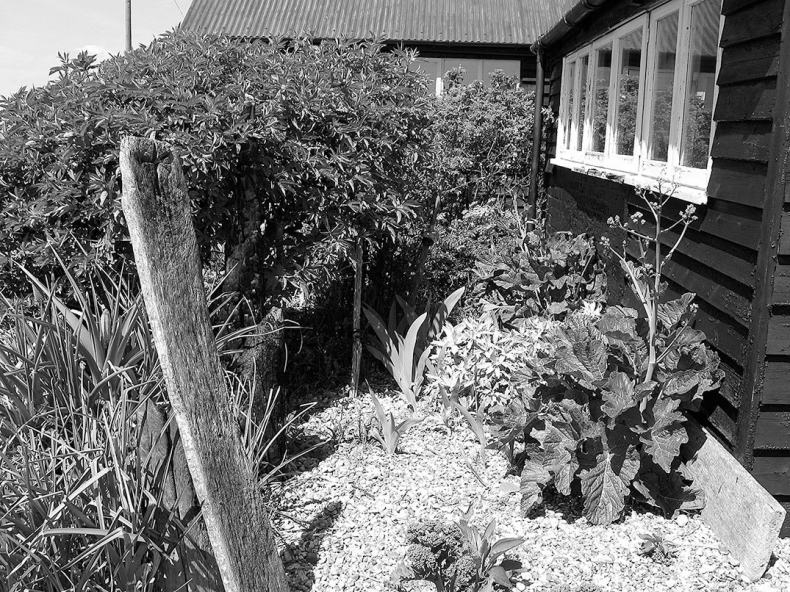 Иллюстрация к книге — Дерек Джармен [i_025.jpg]