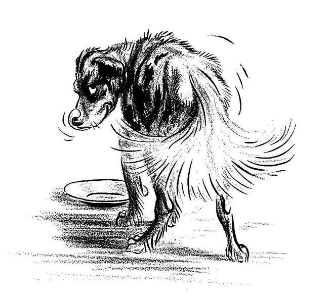 Иллюстрация к книге — Новые приключения Гомера Прайса. Сентербергские истории [i_047.jpg]