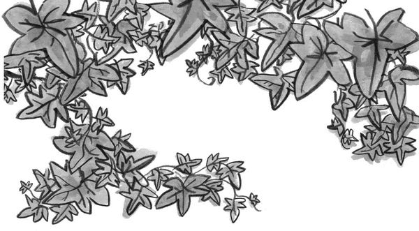 Иллюстрация к книге — Секретный сад [i_002.jpg]