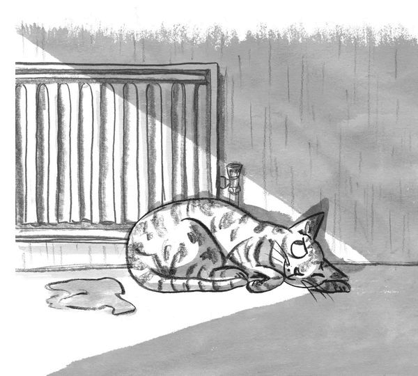 Иллюстрация к книге — Секретный сад [i_007.jpg]