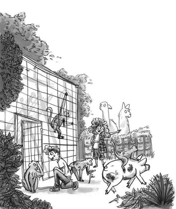 Иллюстрация к книге — Секретный сад [i_009.jpg]