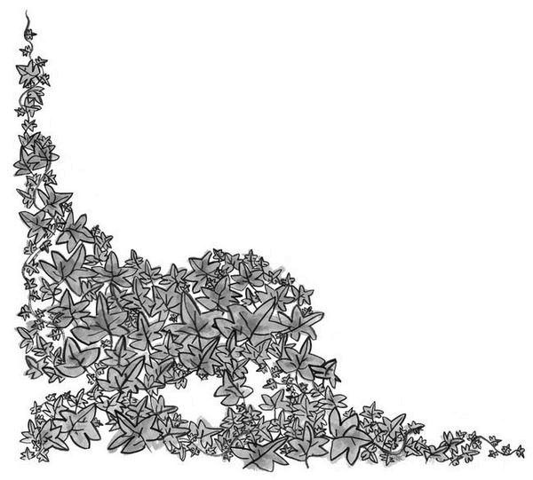 Иллюстрация к книге — Секретный сад [i_014.jpg]