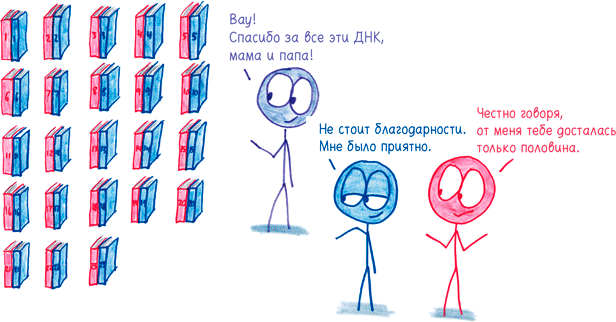 Иллюстрация к книге — Математика с дурацкими рисунками. Идеи, которые формируют нашу реальность [i_177.jpg]