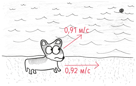 Иллюстрация к книге — Время переменных. Математический анализ в безумном мире [i_203.jpg]